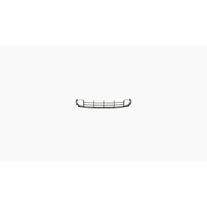 Bumpergrille
