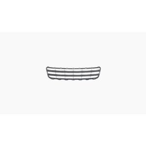 Bumpergrille