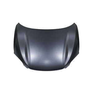 Motorkap voor TOYOTA RAV 4 2010-2013