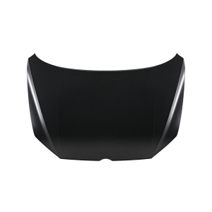 Motorkap voor VOLKSWAGEN PASSAT 2010-2014