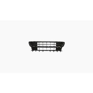 Bumpergrille