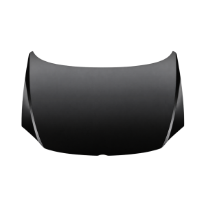 Motorkap voor VOLKSWAGEN FOX 2005-2011
