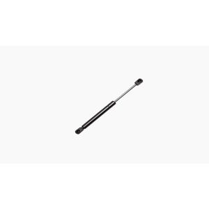 Gasveer Achterruit 505L / 770N