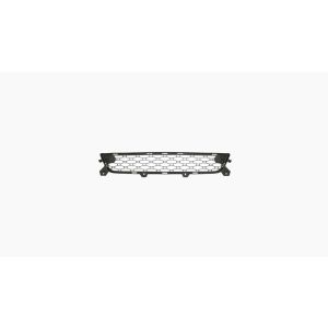 Bumpergrille