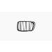 Grille voor BMW 3 SERIE 1998-2001