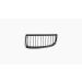 Grille voor BMW 3 SERIE 2005-2008