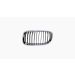 Grille voor BMW 3 SERIE 2008-2012