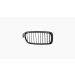 Grille voor BMW 3