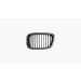 Grille voor BMW 5 SERIE 2000-2003