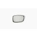 Grille voor BMW 5 SERIE 2000-2003