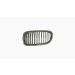 Grille voor BMW 5 SERIE 2010-2013