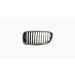 Grille voor BMW 5 SERIE 2010-2013